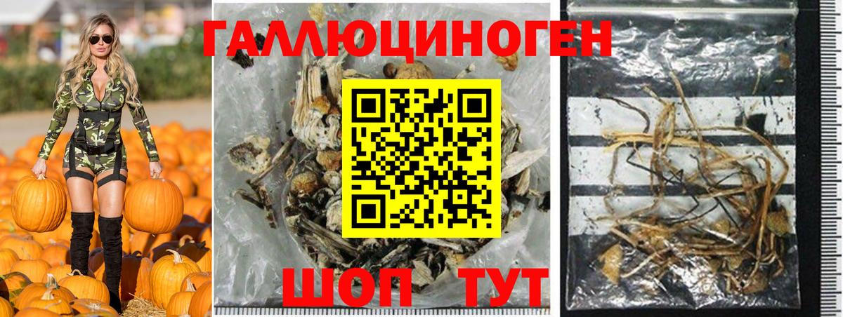 Галлюциногенные грибы мицелий Югорск